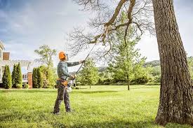 Best Tree Risk Assessment  in Glasgow, KY
