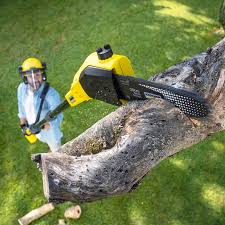 Best Lawn Drainage Solutions  in Glasgow, KY